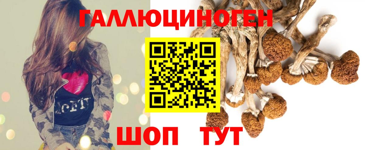 Батайск  купить наркоту  Вход с VPN  Галлюциногенные грибы Psilocybe 